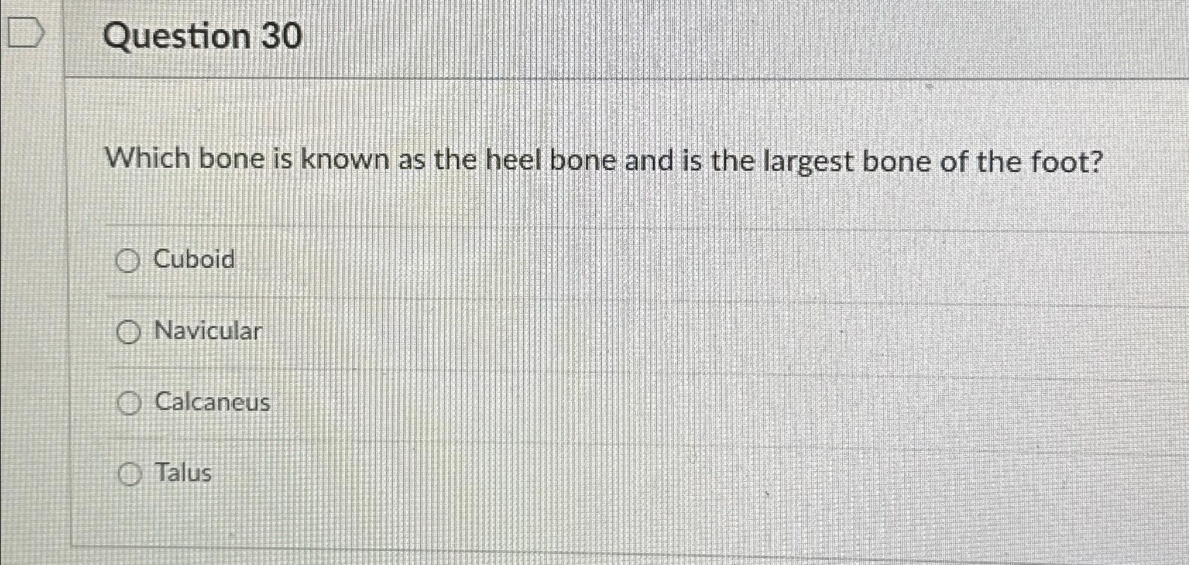 Solved Question 30Which bone is known as the heel bone and | Chegg.com