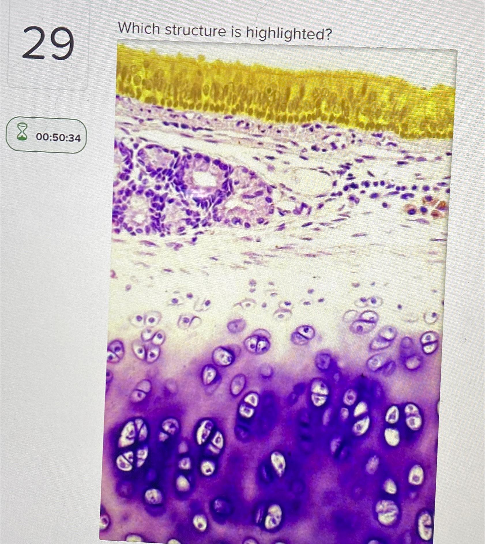 Solved 29 | Chegg.com