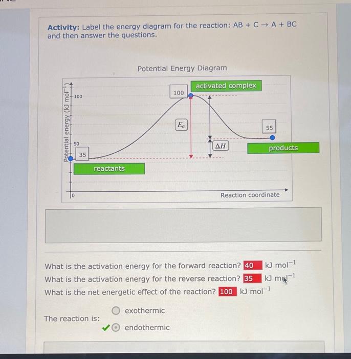 Solved Activity: Label the energy diagram for the reaction: | Chegg.com
