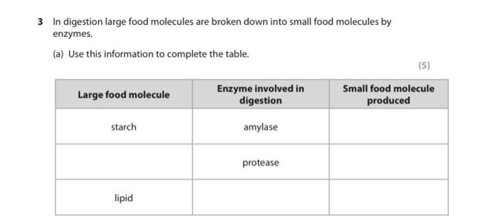 Solved 3 In digestion large food molecules are broken down