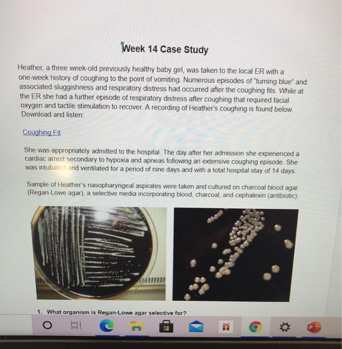 Solved Week 14 Case Study Heather, a three weekold