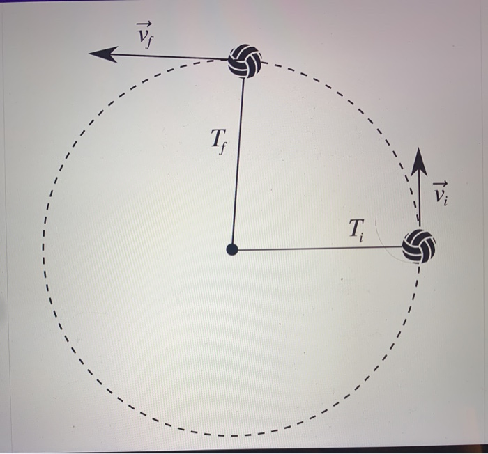 Solved Suppose you are riding on a Ferris wheel which