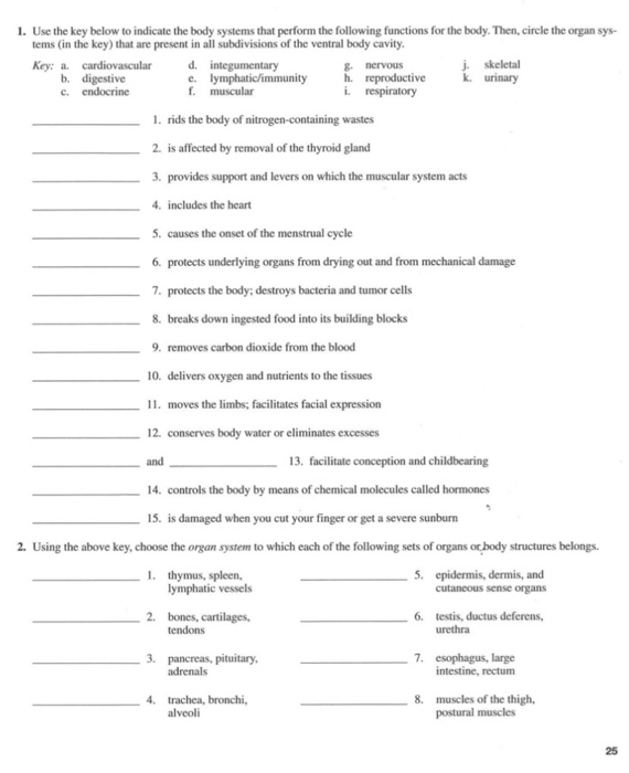 Solved 1. Use the key below to indicate the body systems | Chegg.com