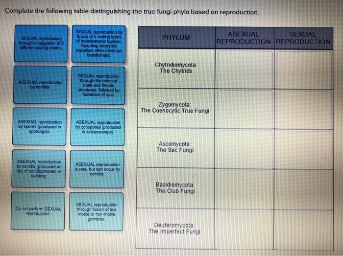 solved-complete-the-following-table-distinguishing-the-true-chegg