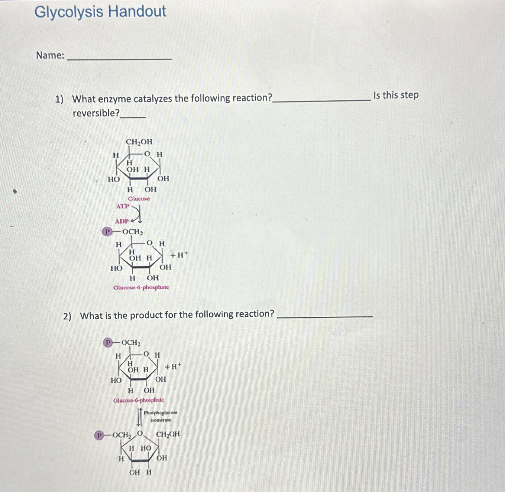 Solved Glycolysis HandoutName:What enzyme catalyzes the | Chegg.com