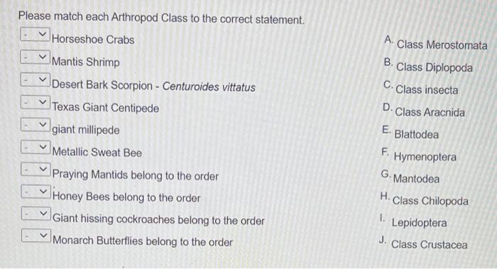 Solved Please match each Arthropod Class to the correct | Chegg.com