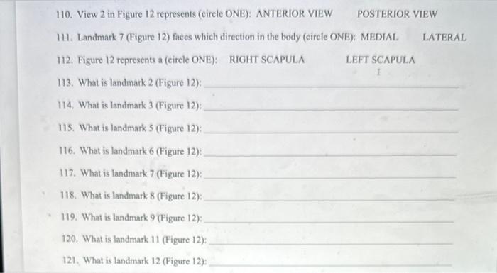 110. View 2 in Figure 12 represents (circle ONE): ANTERIOR VIEW POSTERIOR VIEW
111. Landmark 7 (Figure 12) faces which direct