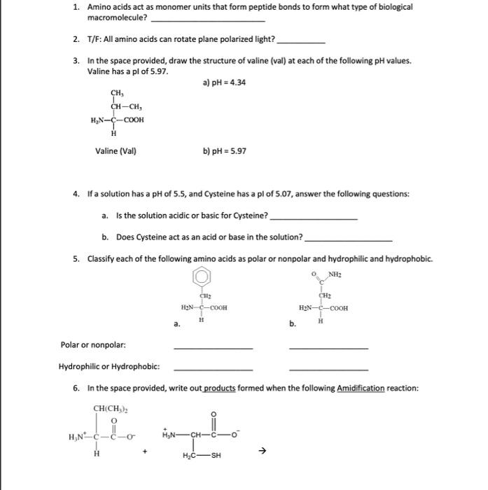 Solved 1. Amino acids act as monomer units that form peptide | Chegg.com