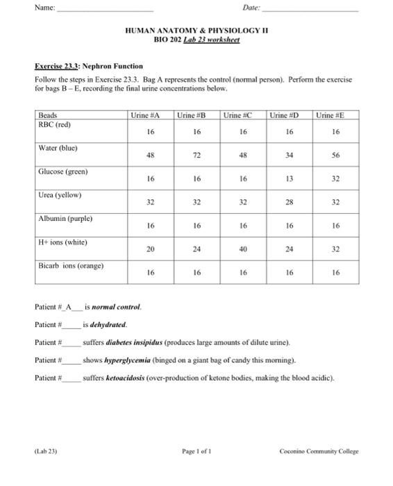 Solved Name: Date: HUMAN ANATOMY & PHYSIOLOGY II BIO 202 Lab | Chegg.com