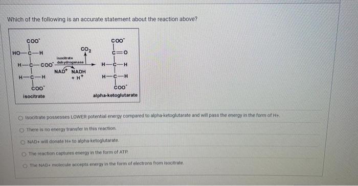 Solved Which of the following is an accurate statement about | Chegg.com