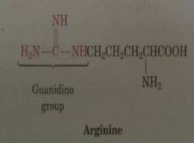 Arginine Which Contains A Guanidine Functional Group I Chegg Com
