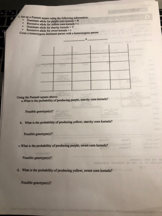 Solved 6 Set Up A Punnett Square Using The Following | Chegg.com