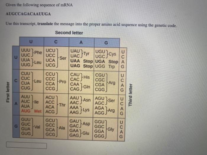 Solved Given the following sequence of mRNA AUGCCAGACAAUUGA | Chegg.com