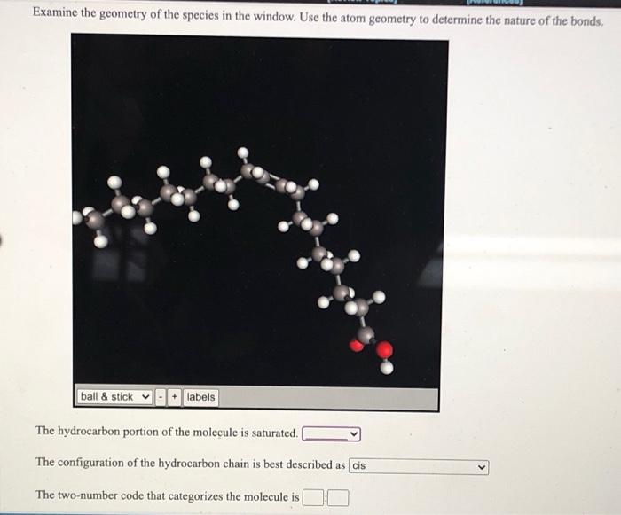 Solved Examine the geometry of the species in the window. | Chegg.com
