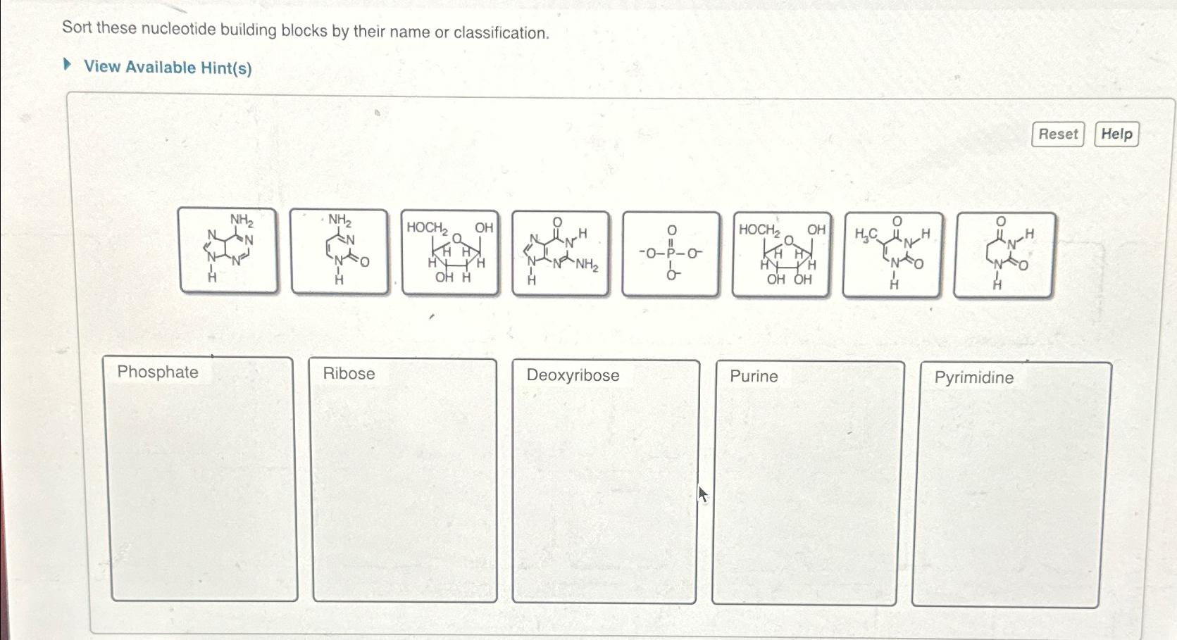 Solved Sort these nucleotide building blocks by their name | Chegg.com