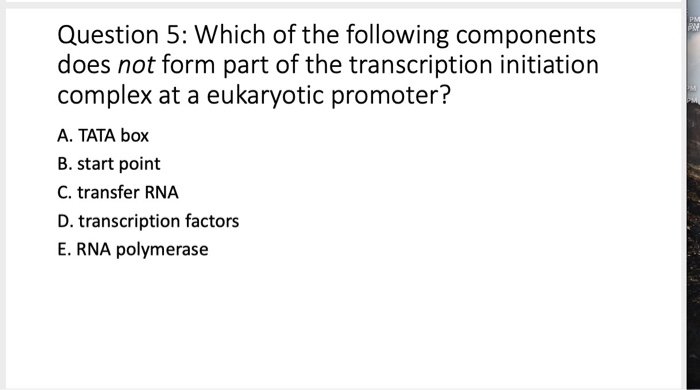 problems with ai transcription