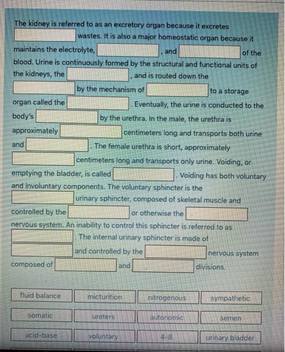 Solved The Kidney Is Referred To As An Excretory Organ Be Chegg Com