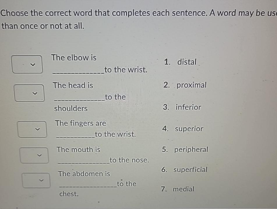 Solved Choose The Correct Word That Completes Each Sentence. | Chegg.com