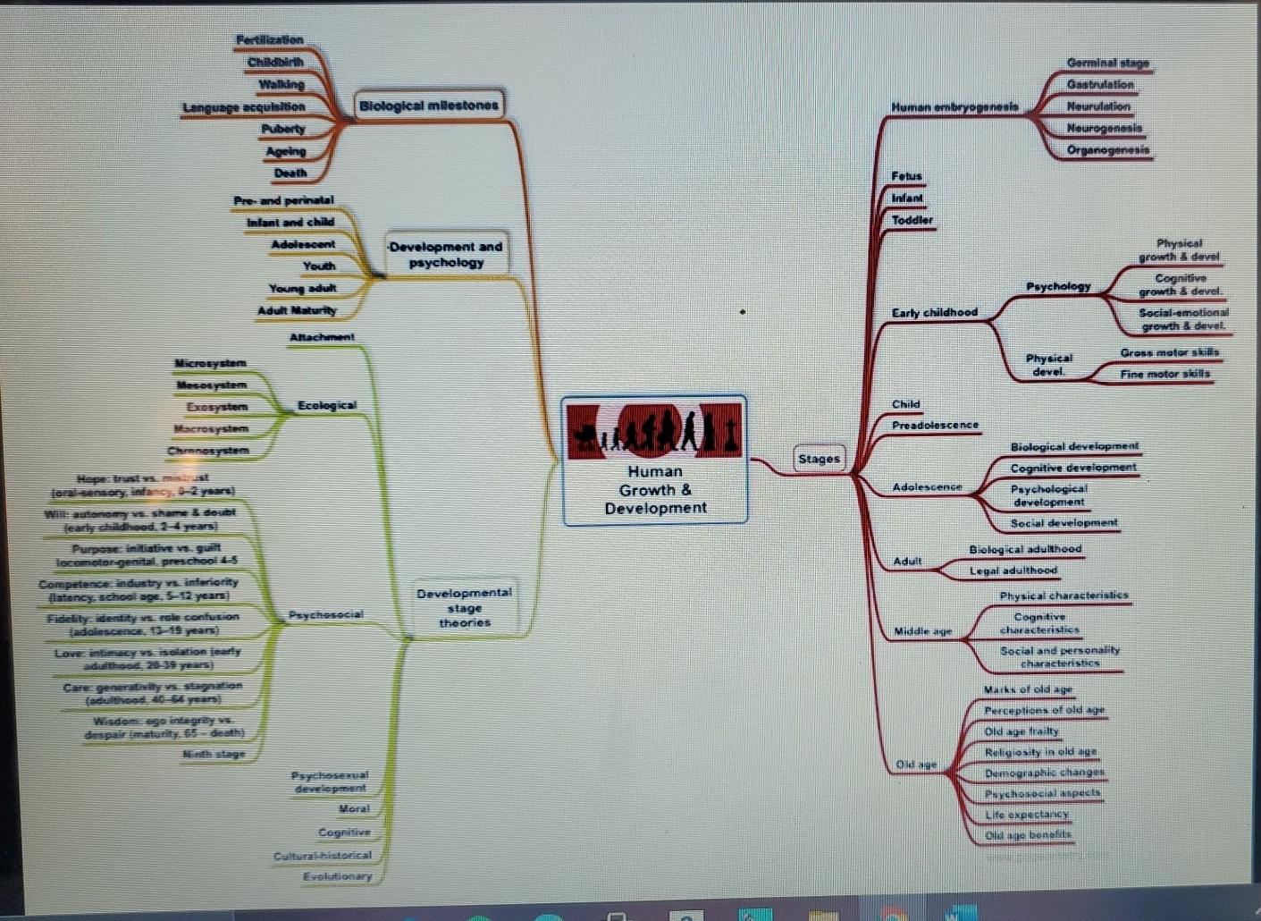 Solved create a mind map of key aspects of development | Chegg.com