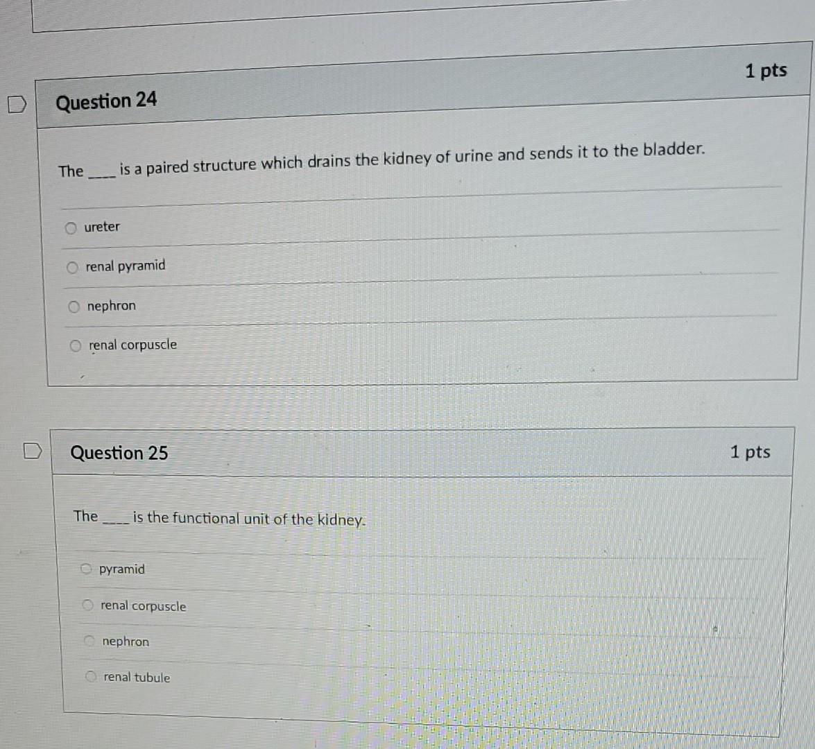 Solved The is a paired structure which drains the kidney of | Chegg.com