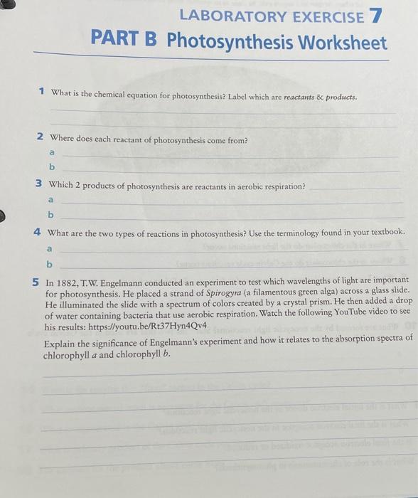 Solved LABORATORY EXERCISE 7 PART B Photosynthesis Worksheet | Chegg.com