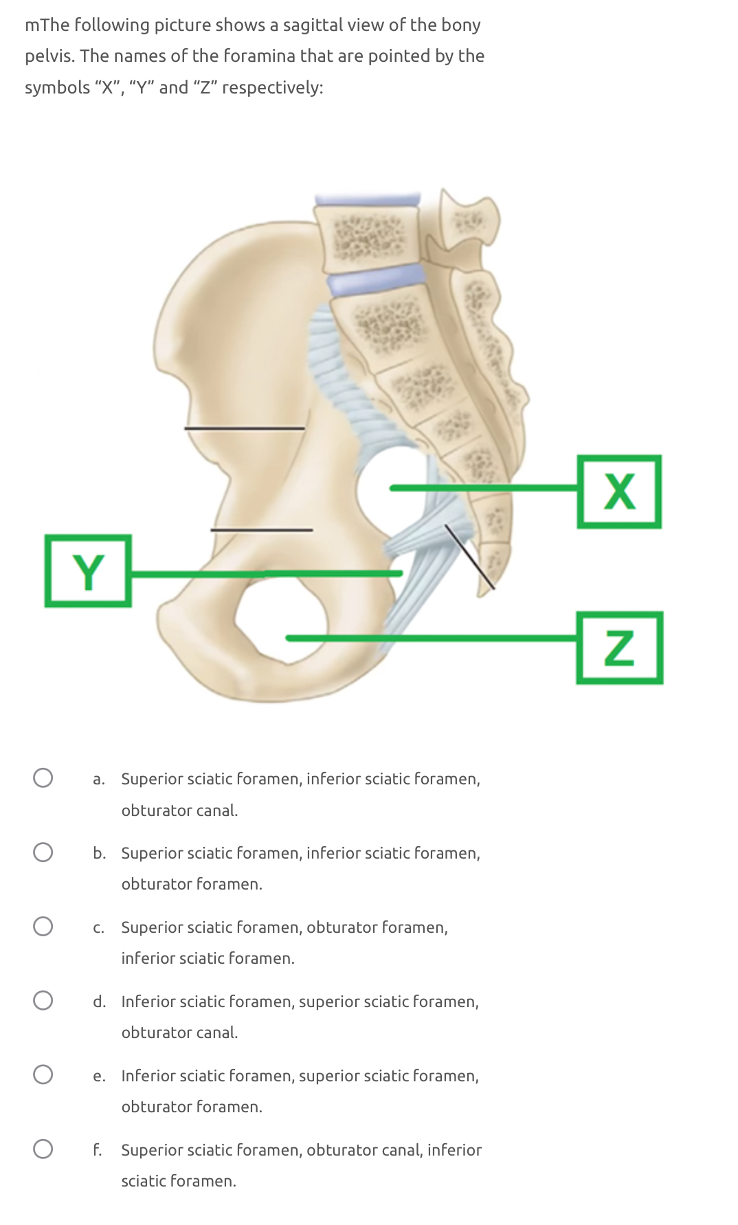 Solved mThe following picture shows a sagittal view of the | Chegg.com