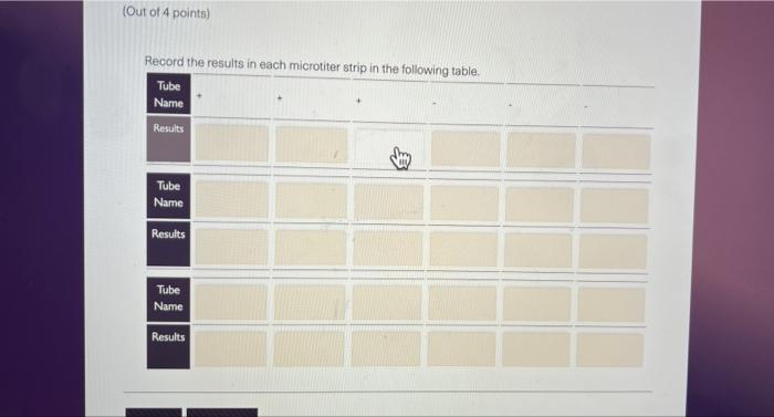 Solved LAB 6.2 QUESTIONS (Out of 2 points) 1. Why do you | Chegg.com