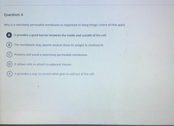 solved-question-4-why-is-a-selectively-permeable-membrane-so-chegg