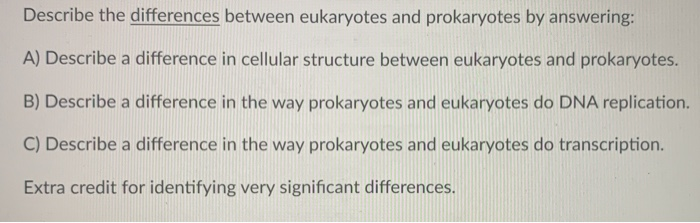 Solved Describe the differences between eukaryotes and | Chegg.com