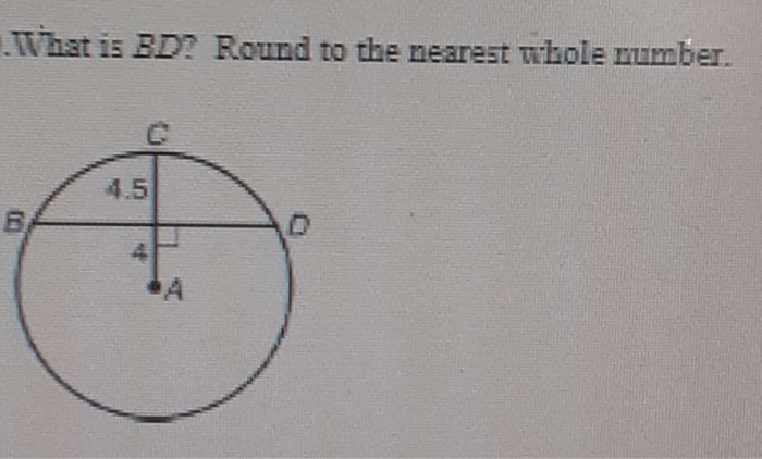 Solved What Is BD? Round To The Nearest Whole Number. 4.5 B | Chegg.com