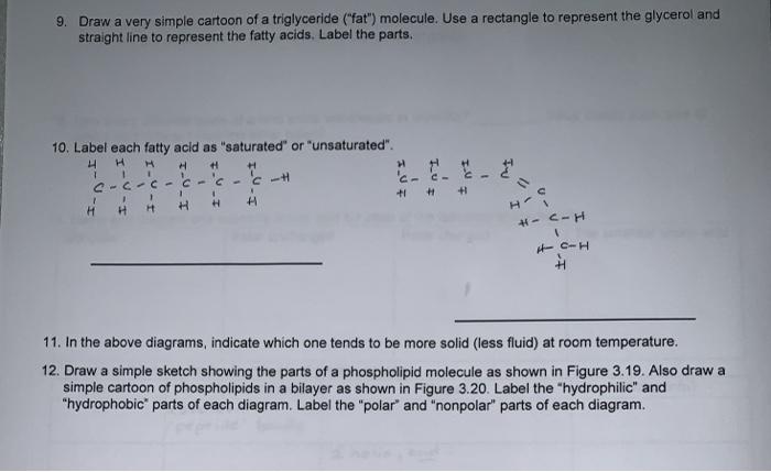 simple saturated fat molecule