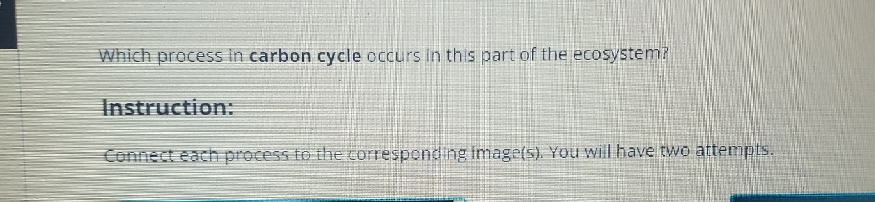 Solved Which process in carbon cycle occurs in this part of | Chegg.com