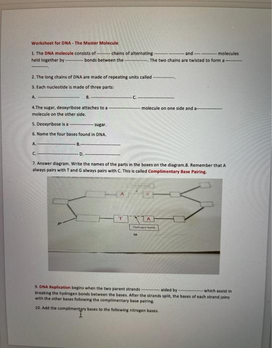 Solved Worksheet for DNA - The Master Molecule 1. The DNA | Chegg.com