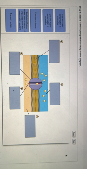 student submitted image, transcription available below