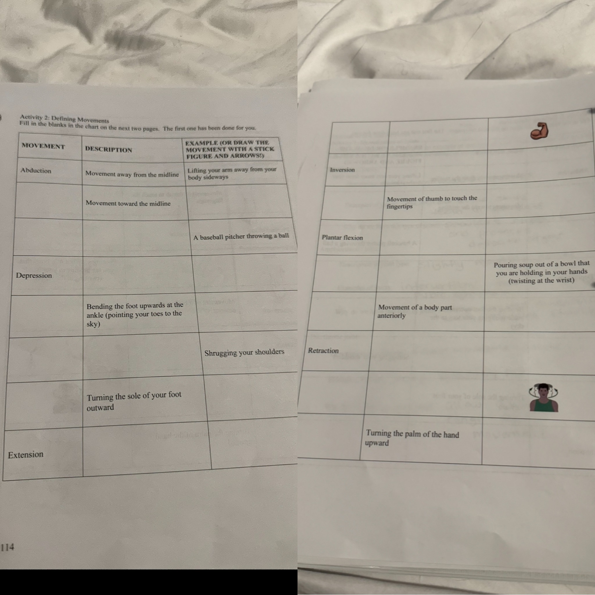 Solved anatomical movements descriptions and Biology Diagrams