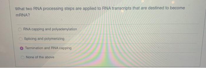 Solved What two RNA processing steps are applied to RNA | Chegg.com
