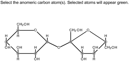 epimeric and anomeric carbon
