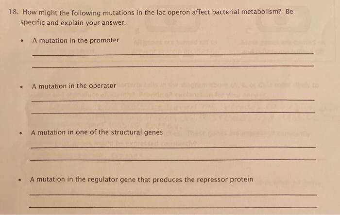 Solved How might the following mutations in the lac operon | Chegg.com