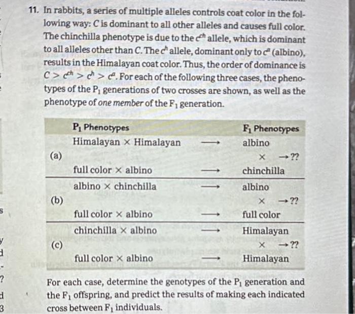 Solved 1. In rabbits, a series of multiple alleles controls | Chegg.com