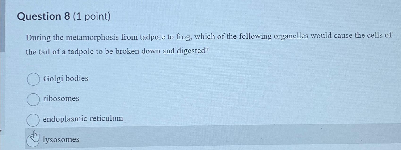 Solved Question 8 (1 ﻿point)During the metamorphosis from | Chegg.com