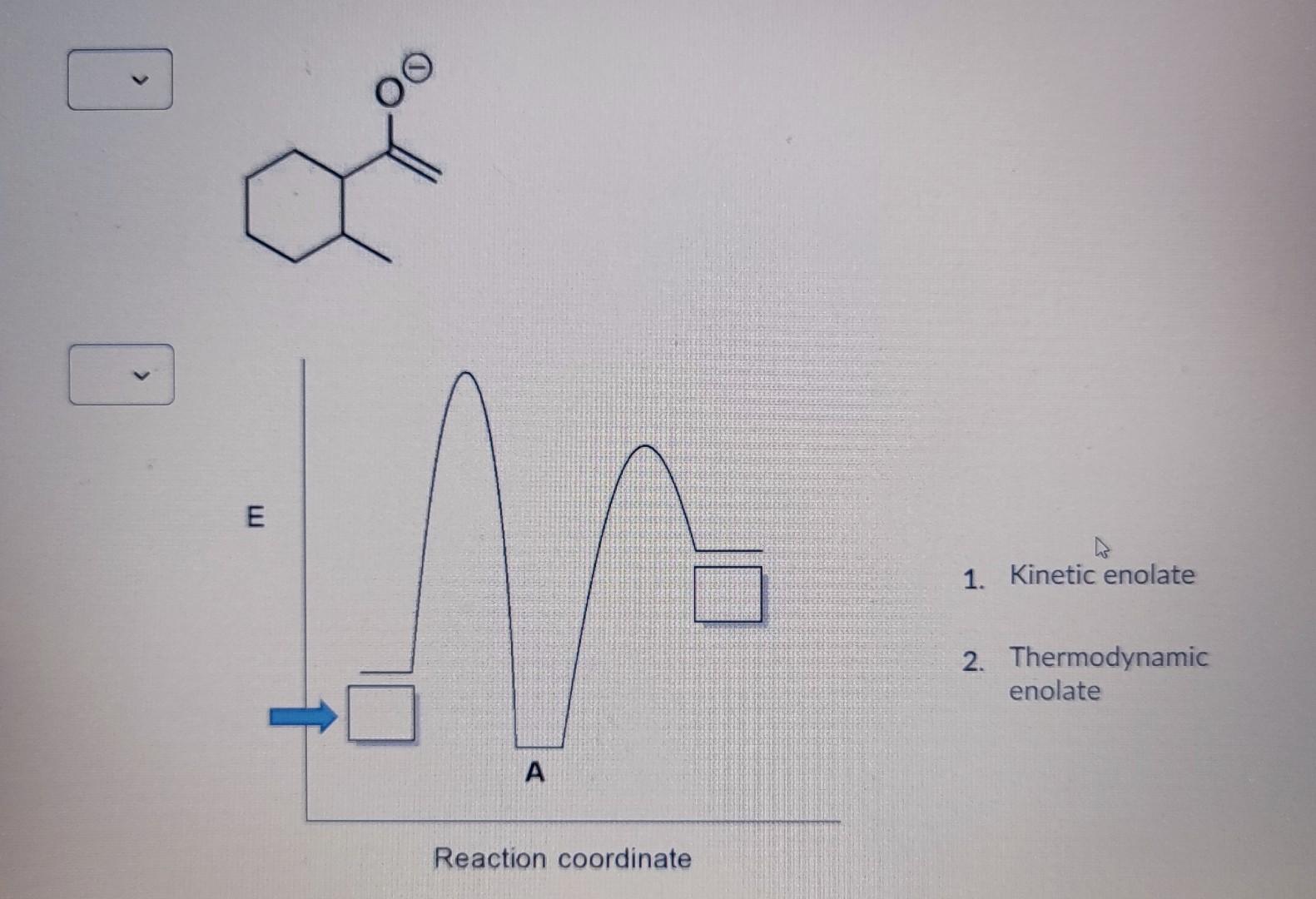 Solved Identify The Kinetic And Thermodynamic Enolates Of