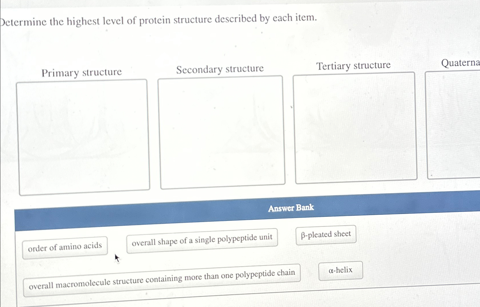 Solved Determine the highest level of protein structure | Chegg.com