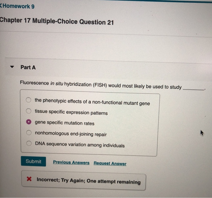 Homework 9 Chapter 17 Multiple Choice Question 21 Chegg 