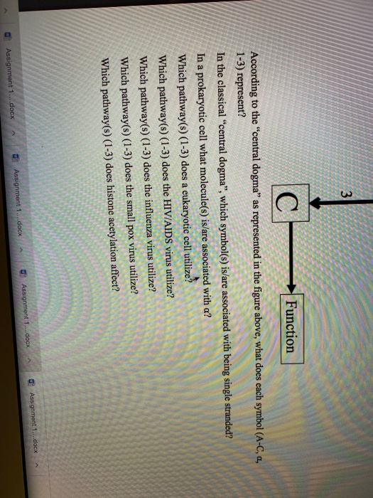 Solved A 2 B a 3 C Function According to the "central dogma" | Chegg.com