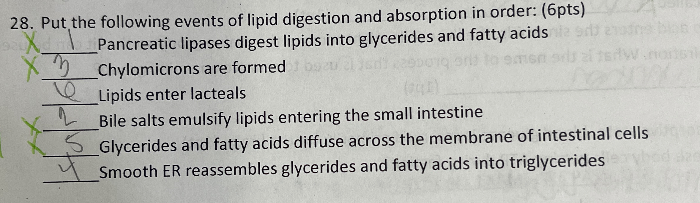 Solved Put the following events of lipid digestion and | Chegg.com