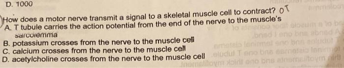Solved How does a motor nerve transmit a signal to a | Chegg.com