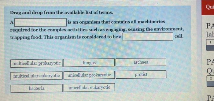 Solved Qui Drag and drop from the available list of terms. А | Chegg.com
