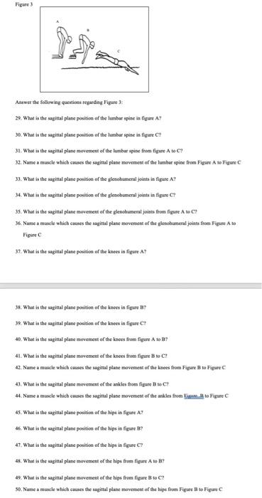 Solved Answer the following questices fegaedleg Figure 3 . | Chegg.com