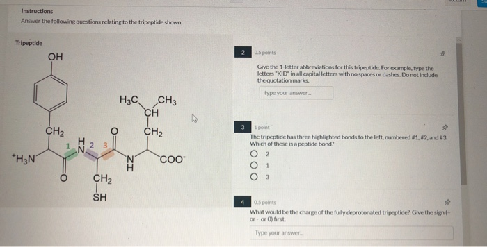 solved-instructions-answer-the-following-questions-relating-chegg