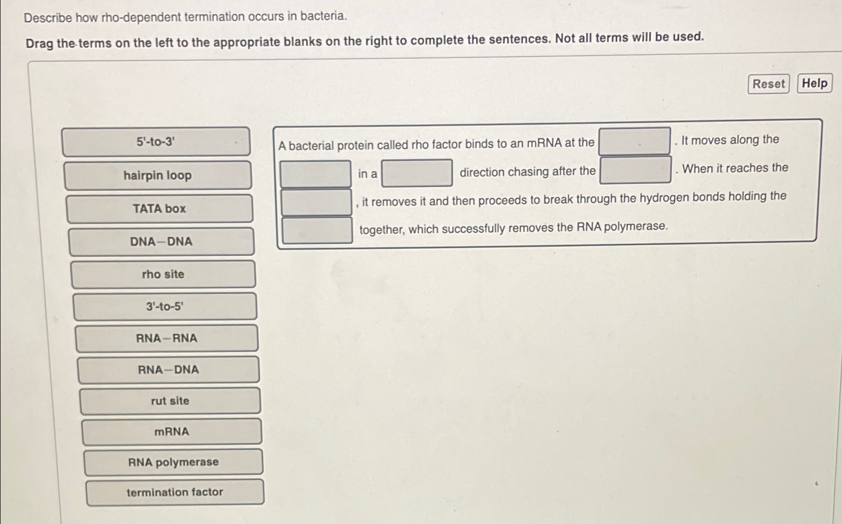 Solved Describe how rho-dependent termination occurs in | Chegg.com